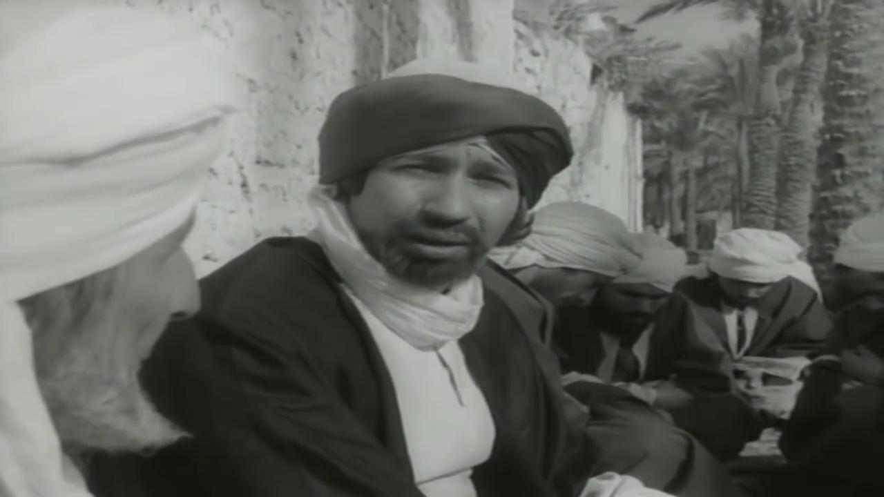 mohey el-din abdel-mohsen