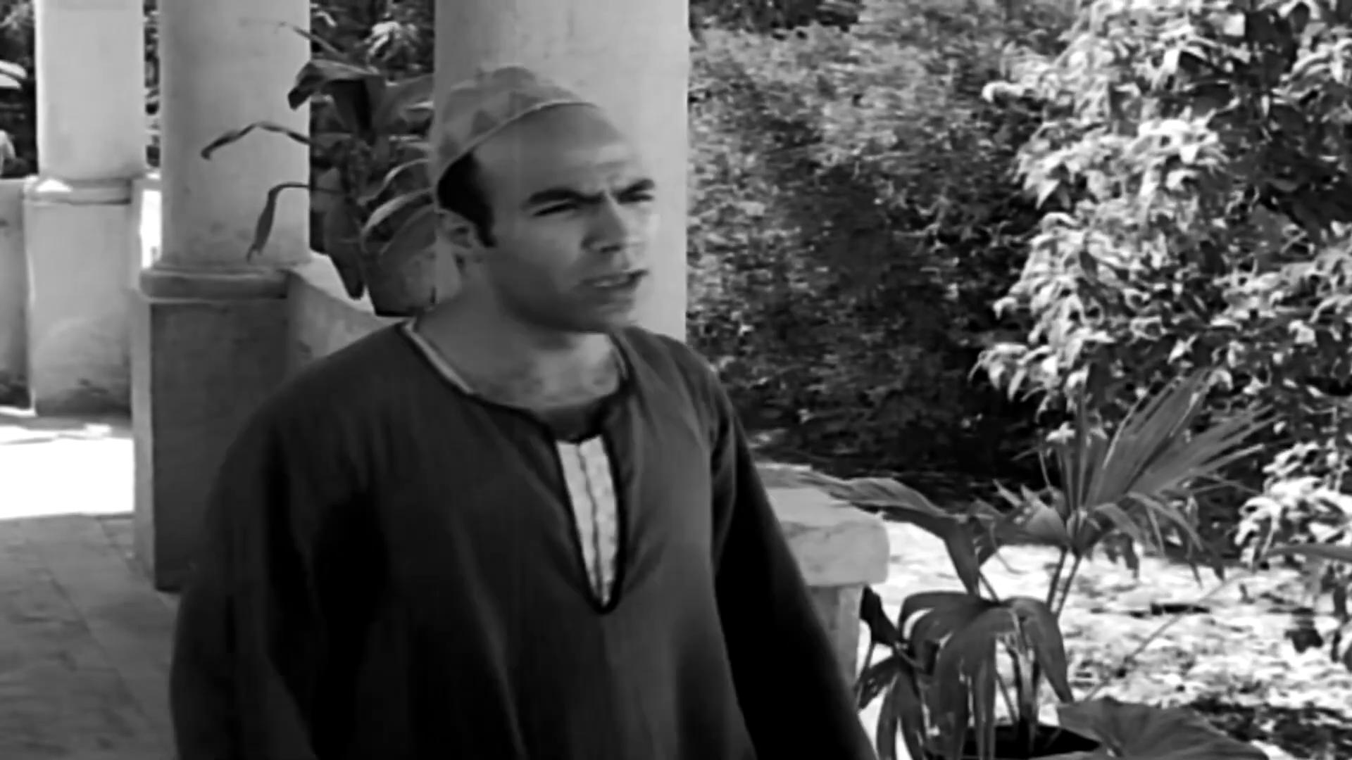 Mahmoud Al-Touny