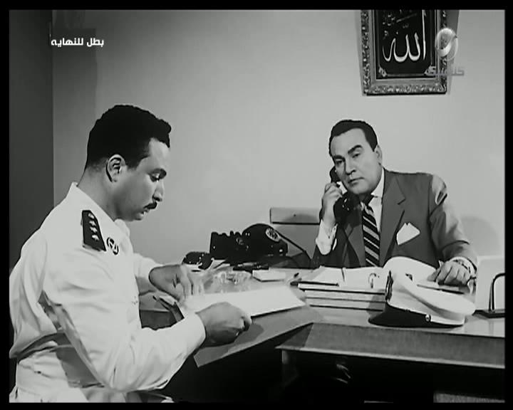 نظيم شعراوي