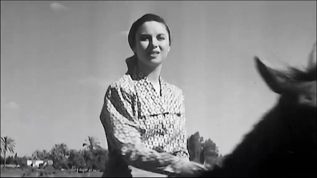 Faten Hamama
