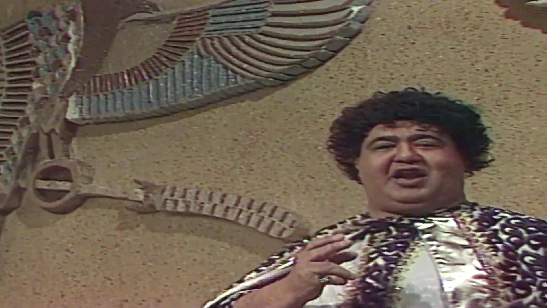 عبد الغفار عودة