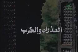 فيلم: العذراء والعقرب