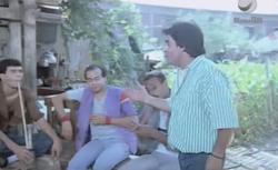 film: Al-Morshed