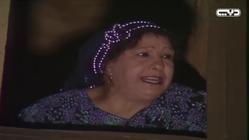 series: Share3 Al-Mawardy 1: Hoda Zaky