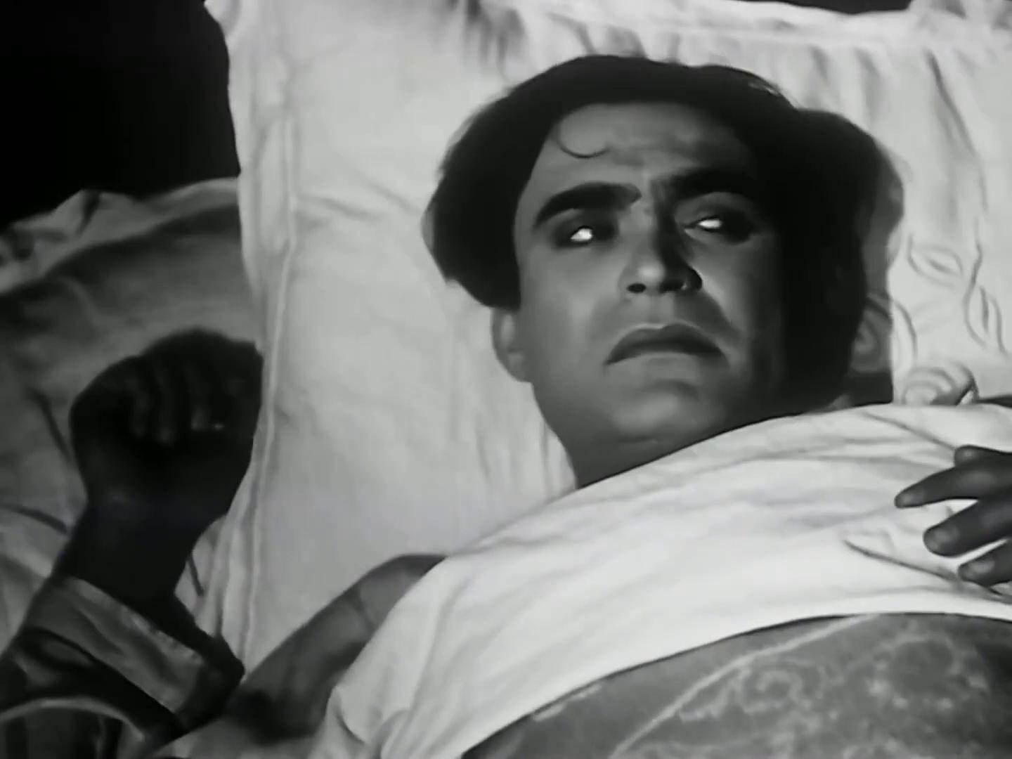 محمود ذو الفقار