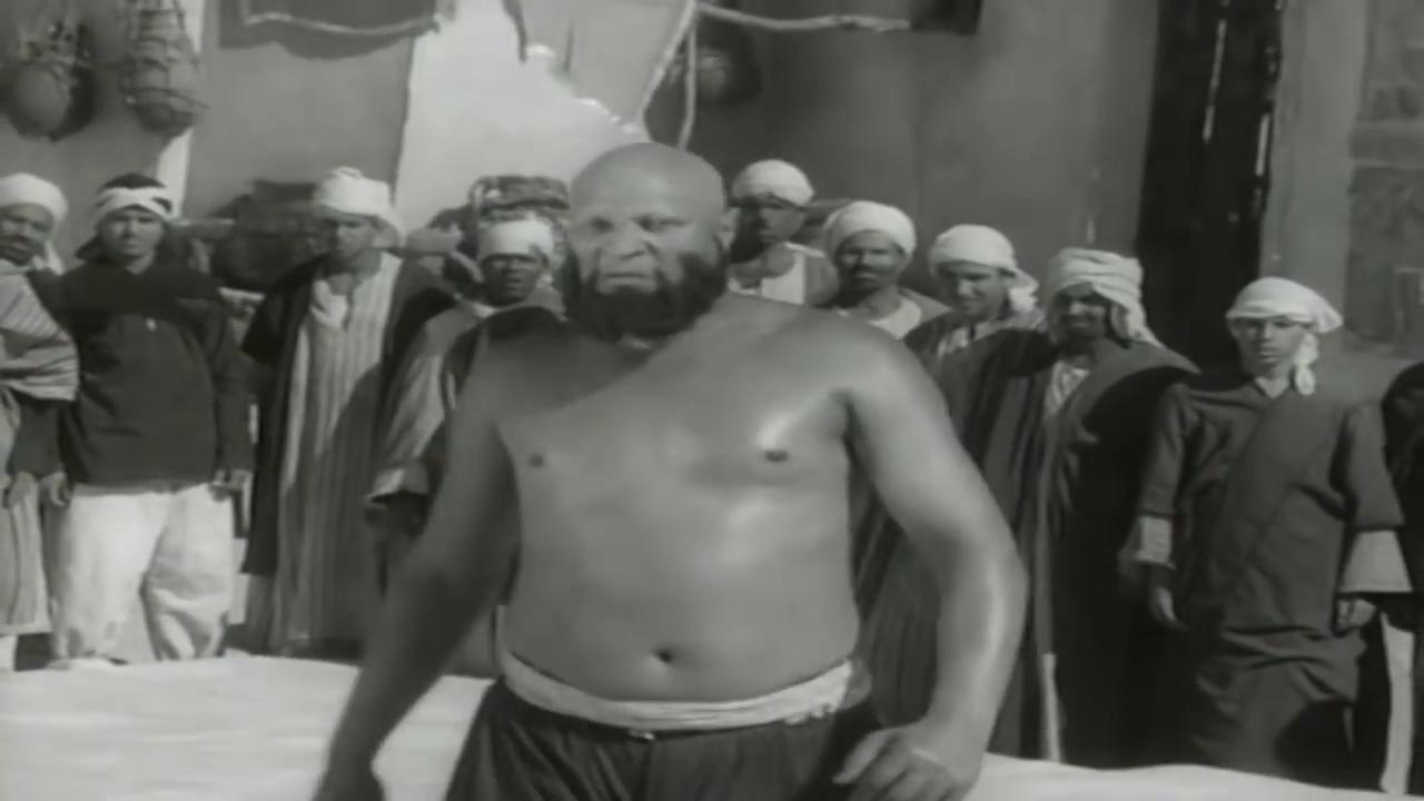 نصر سيف