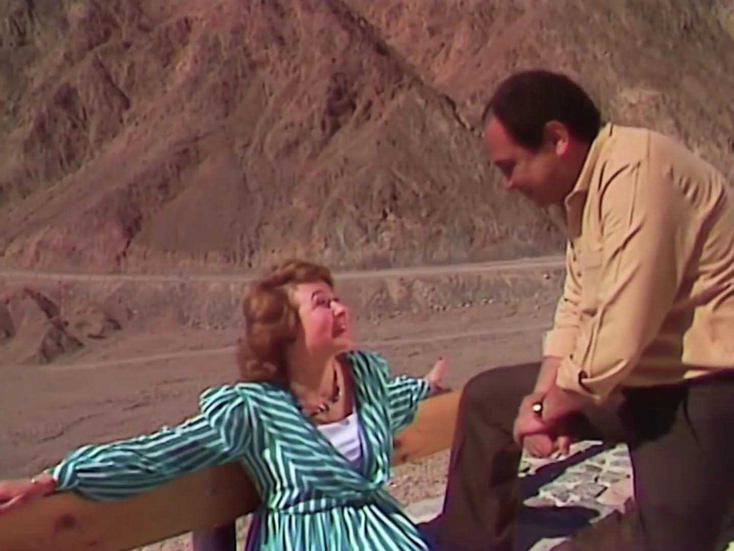 هناء الشوربجي