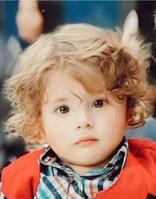 محمد الشيخ رجب