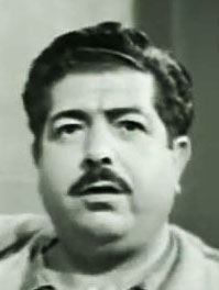 سلطان الجزار