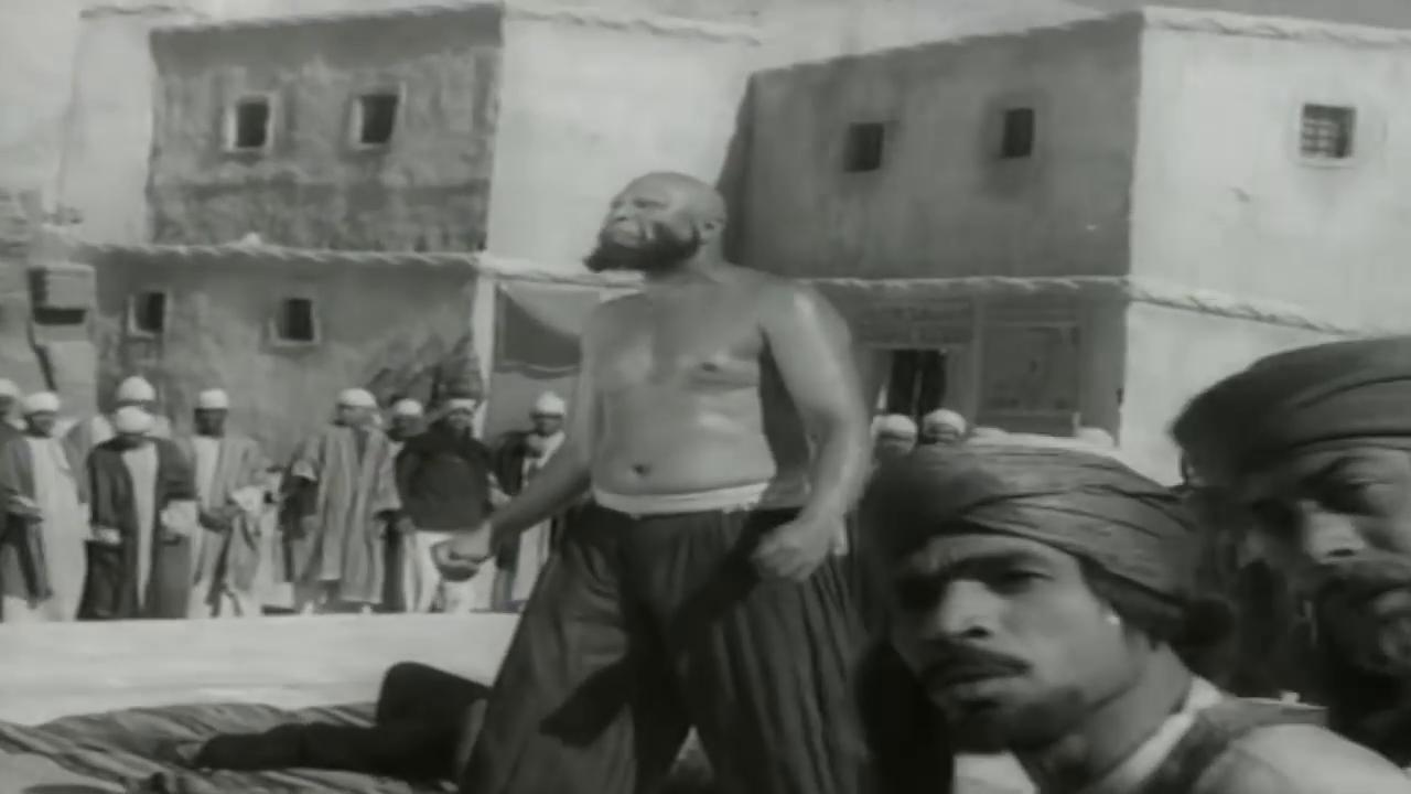 نصر سيف