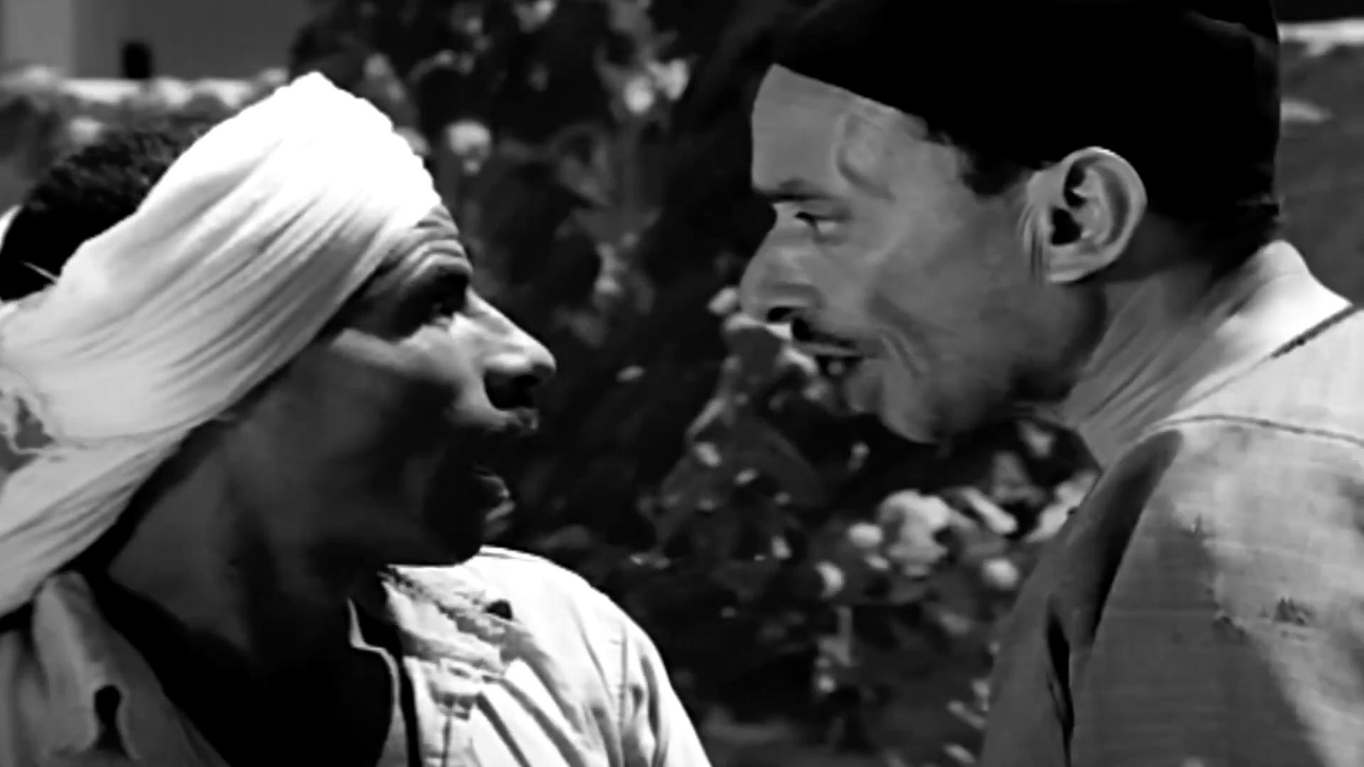 محمود كامل