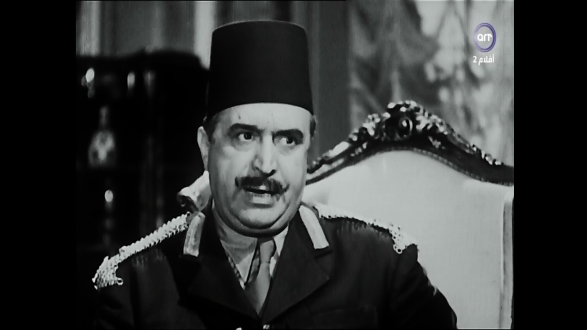 سليمان نجيب