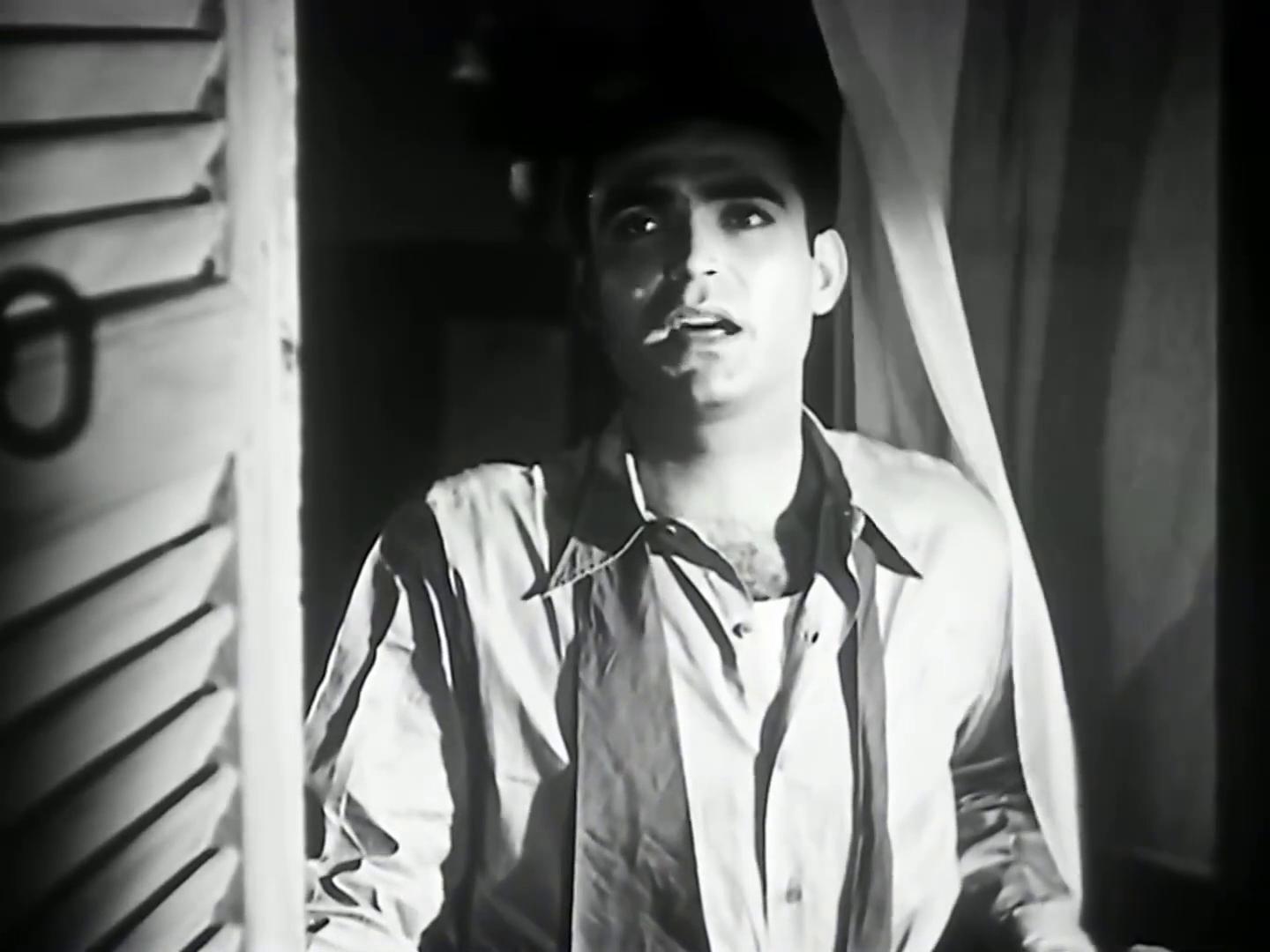 محمود ذو الفقار