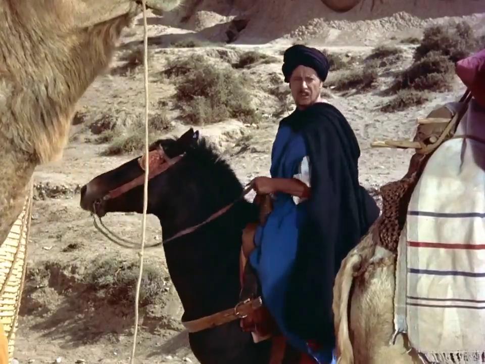 ديتير بورشا