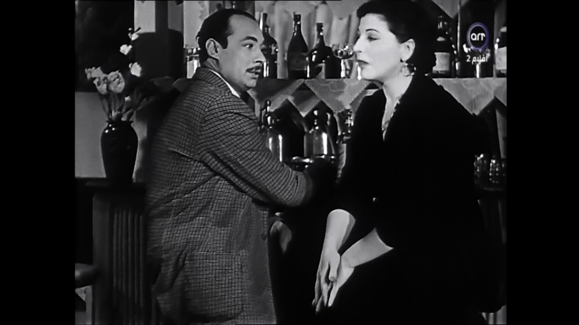 زوزو ماضي - أنور زكي