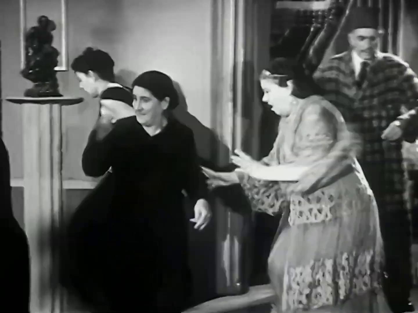 عمر وصفي - سرينا إبراهيم