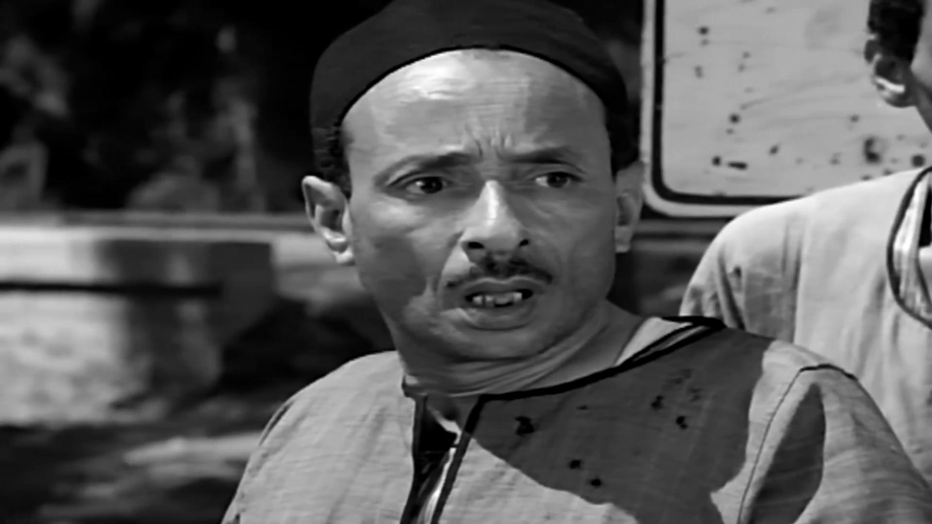 محمود كامل