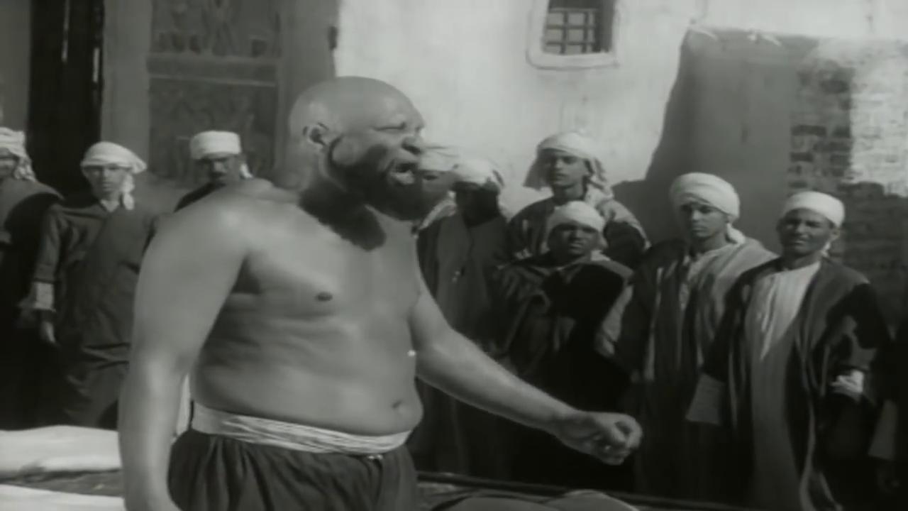 نصر سيف