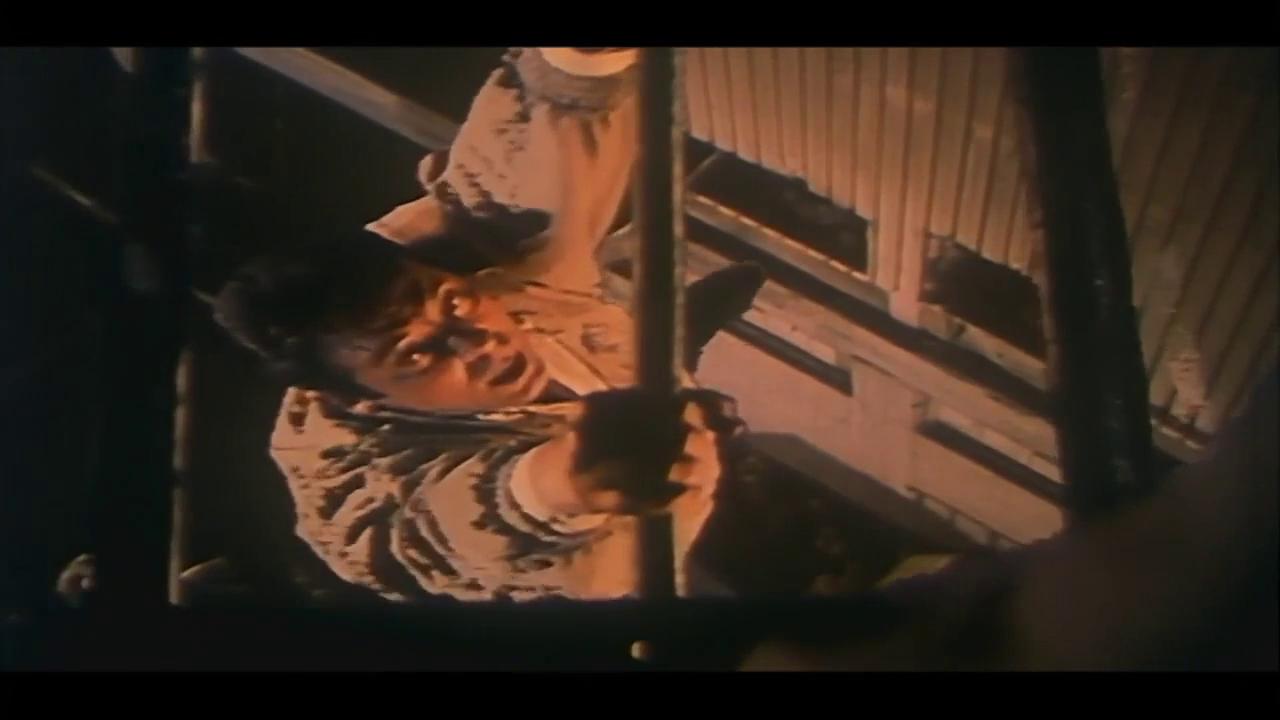محمود حميدة