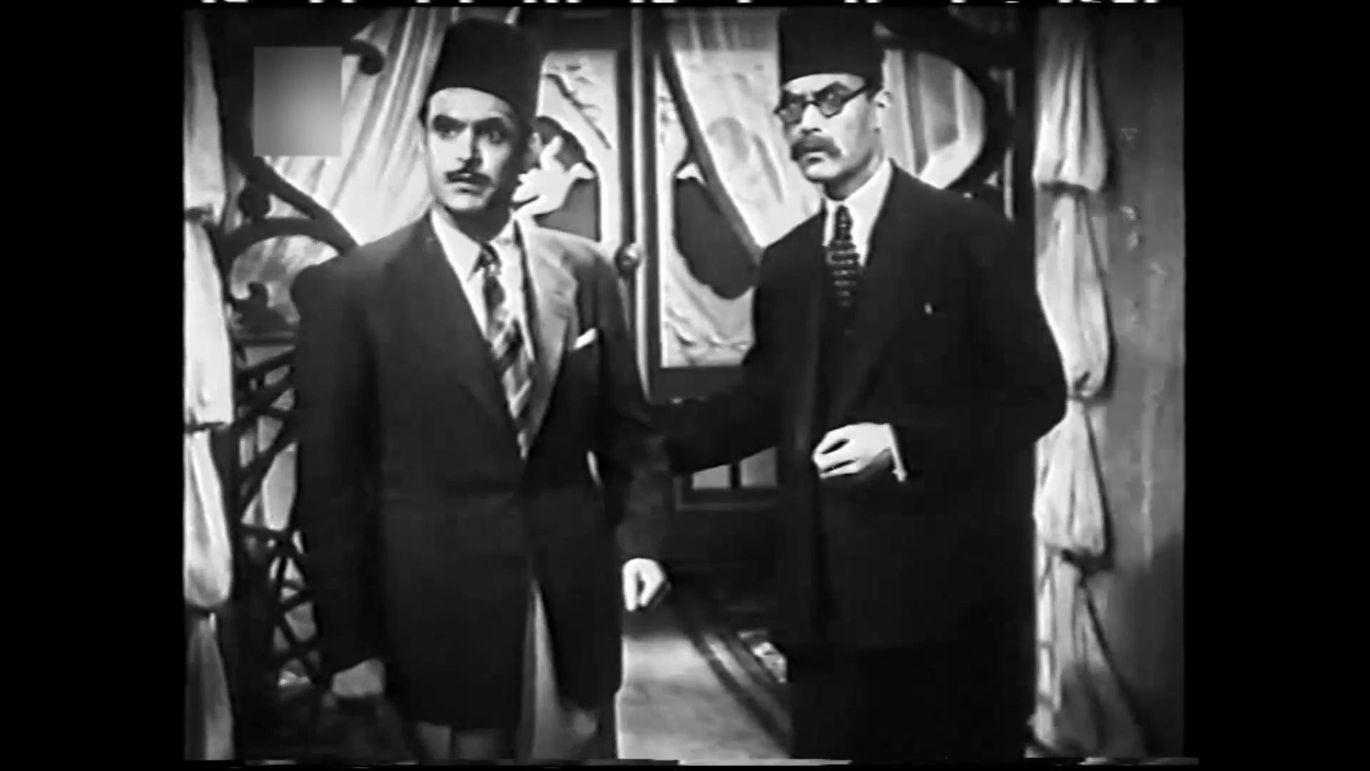 محمود ذو الفقار