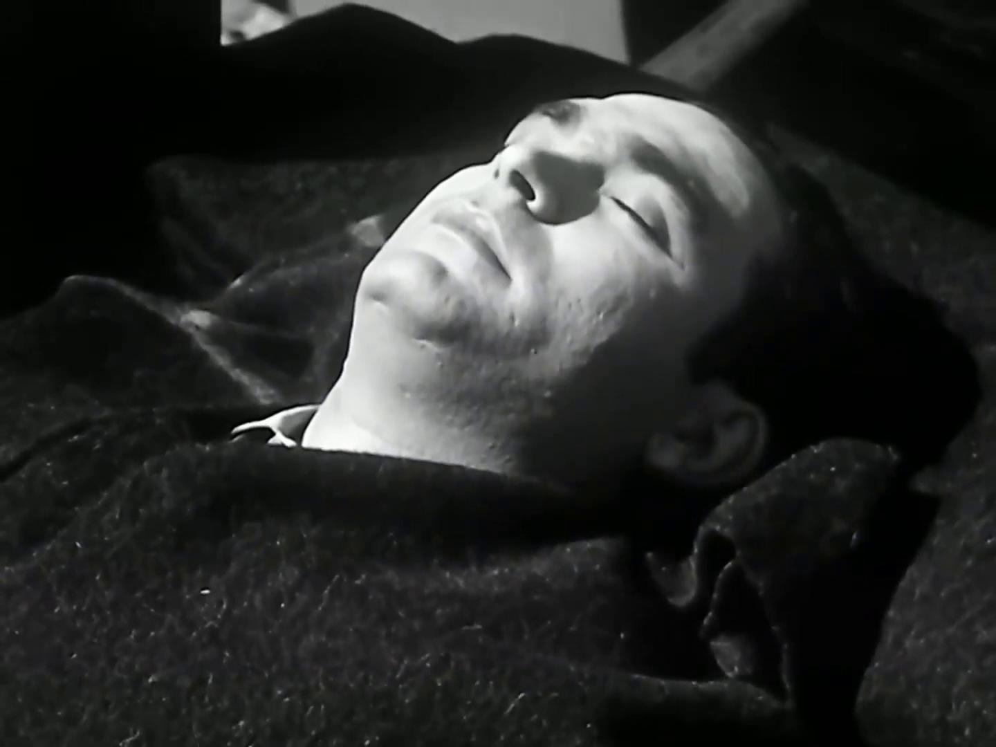 محمود ذو الفقار