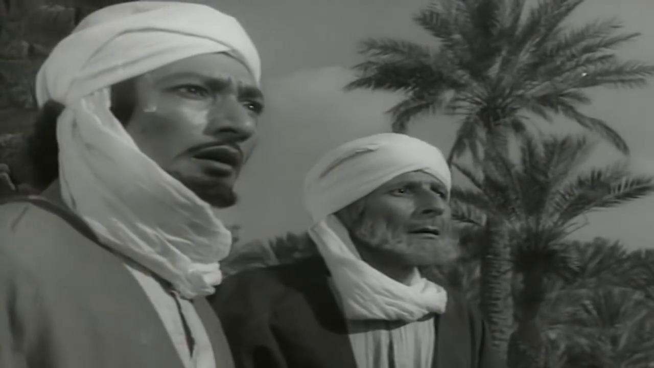 hafez amin