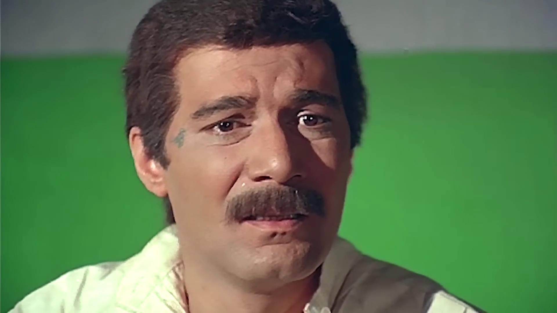 محمود ياسين