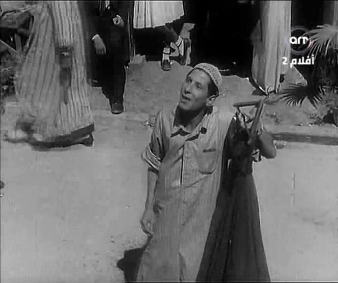 Hafez Amin
