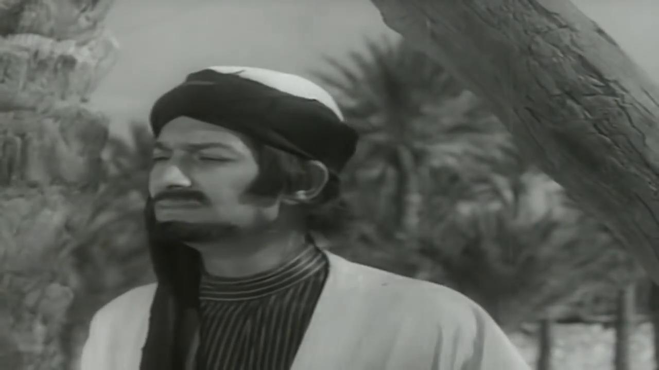 galal tawfiq