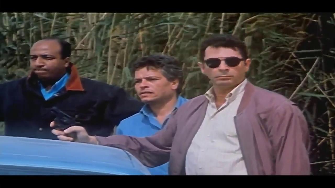 محمود حميدة