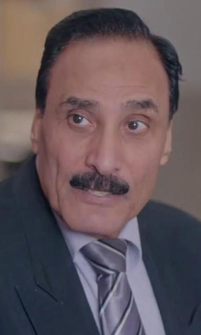 فتحي سعد