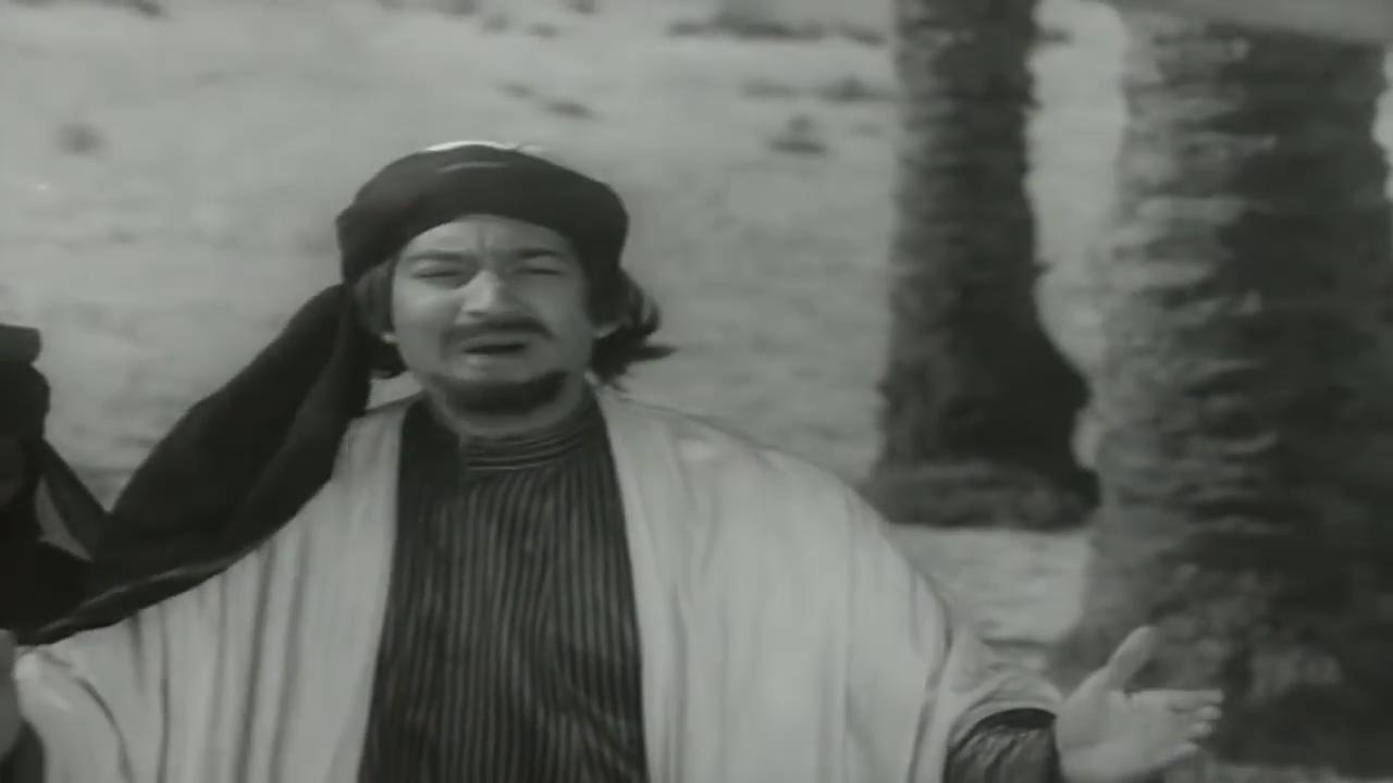 galal tawfiq
