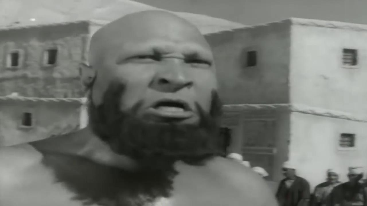 نصر سيف