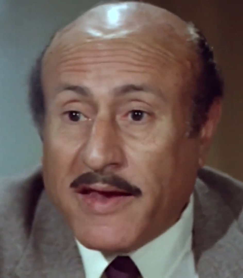 مصطفى هاشم