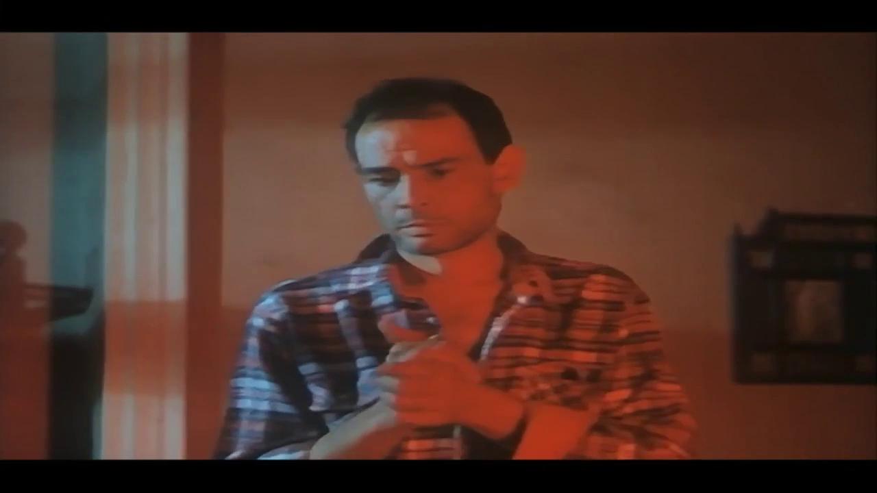 إبراهيم الطوخي