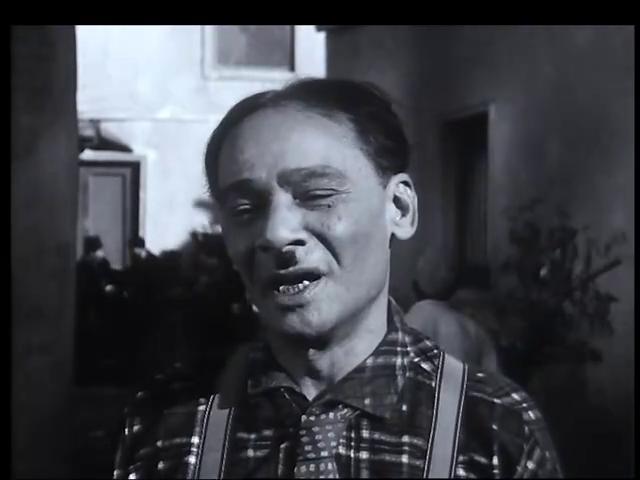محمد توفيق