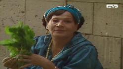 series: Share3 Al-Mawardy 1: Thuraya Ibrahim