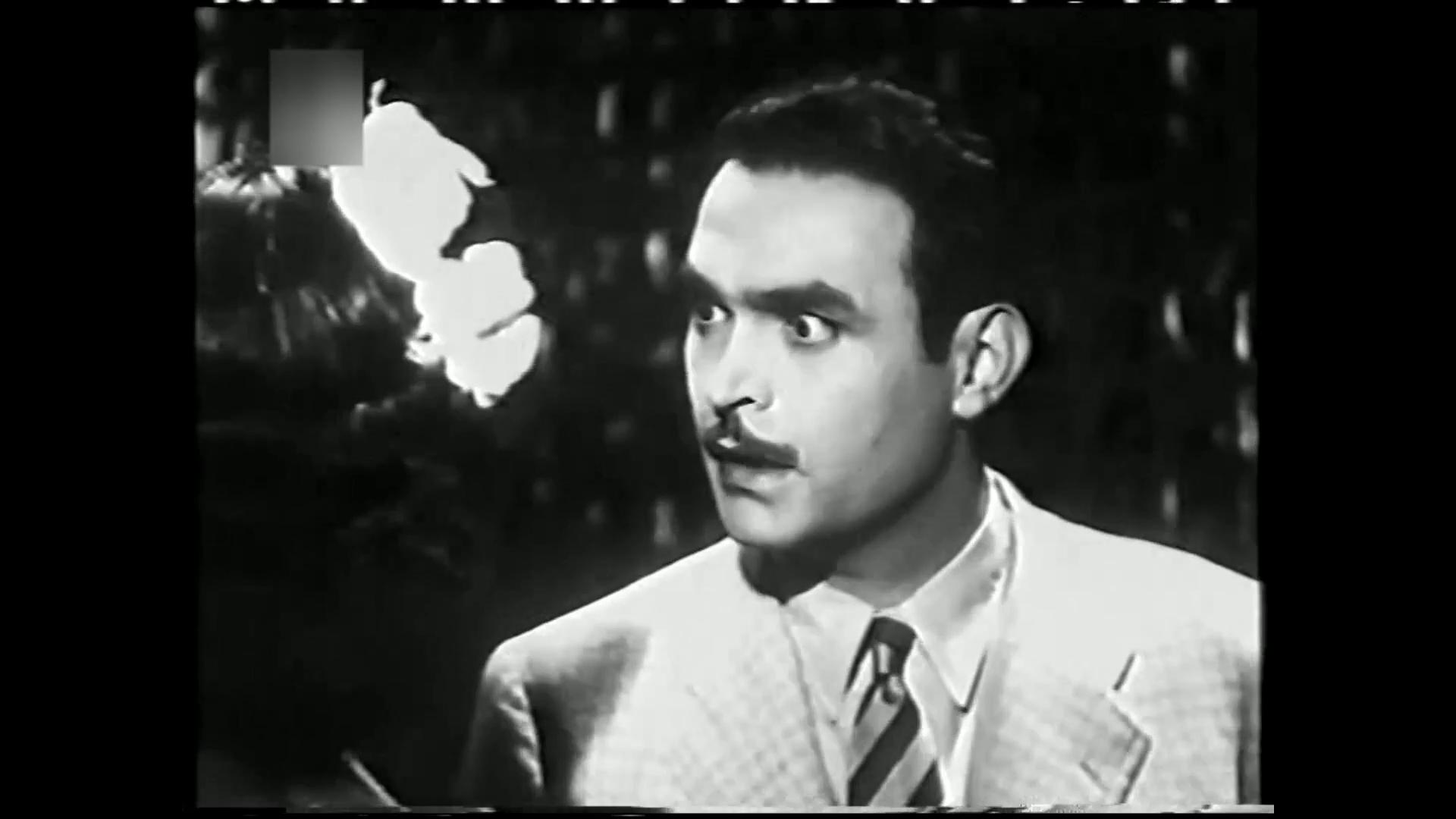 محمود ذو الفقار