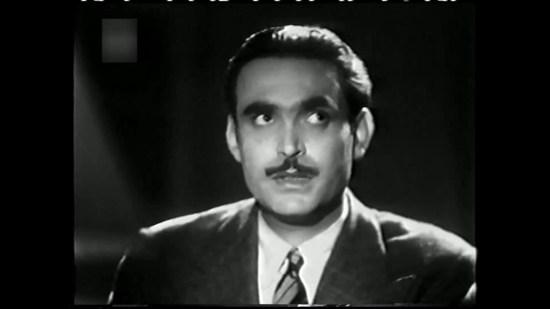 محمود ذو الفقار