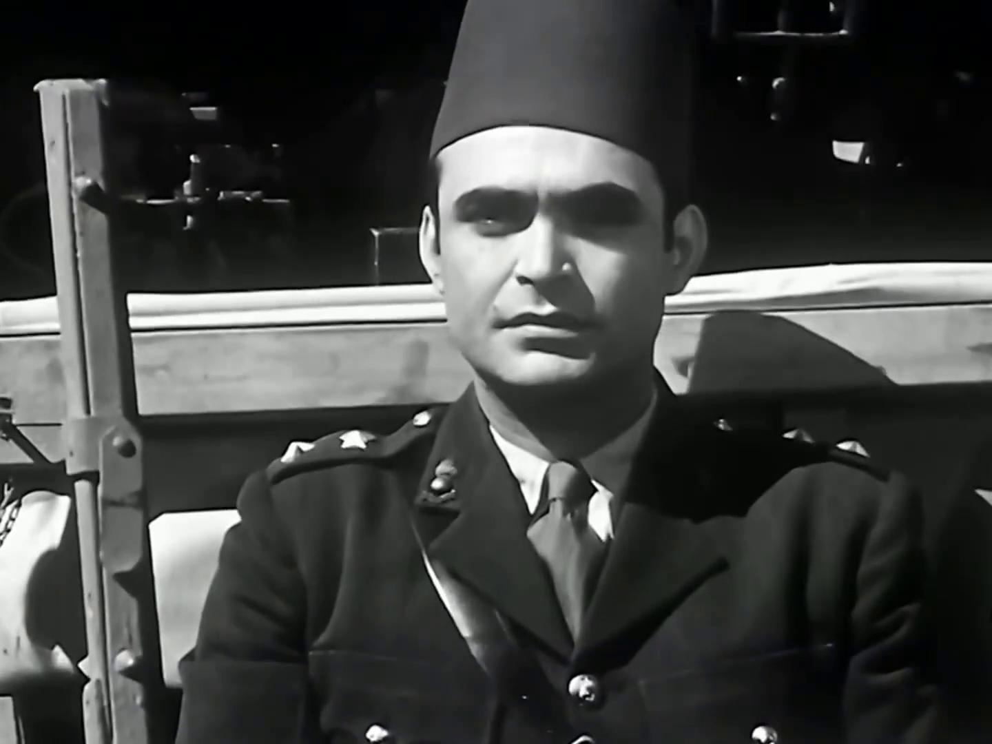 محمود ذو الفقار