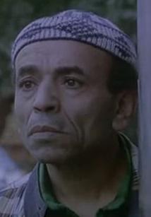 سيد عناني