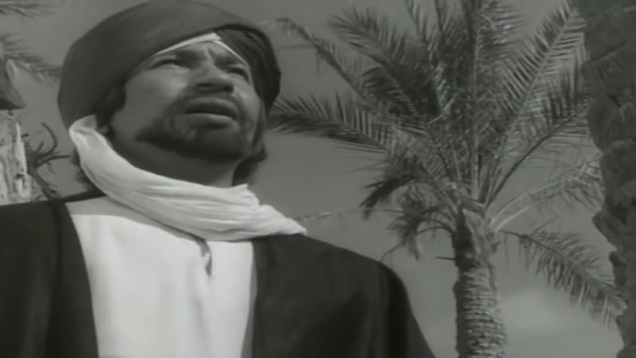 mohey el-din abdel-mohsen