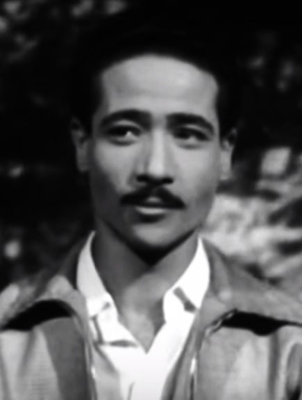 محمد الموجي