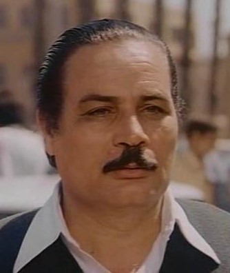 حسن الأنور