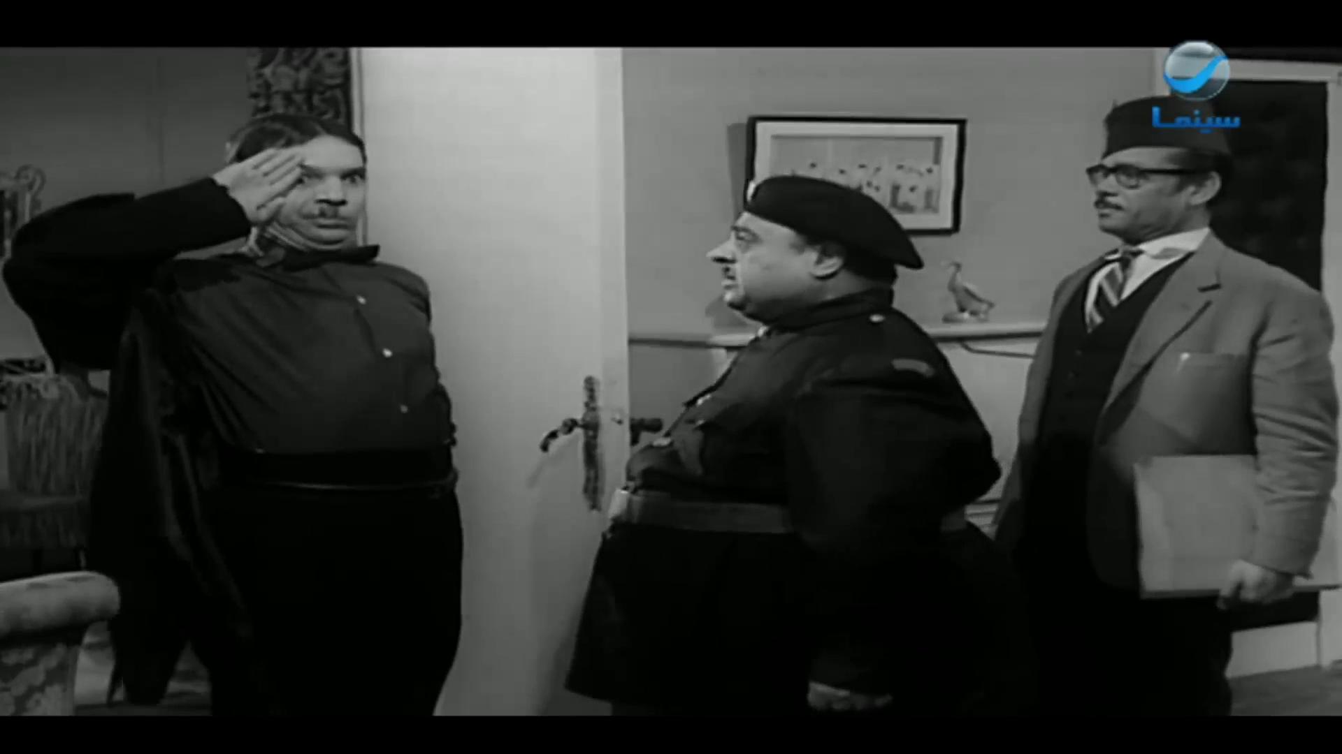 محمد شوقي - سيد إبراهيم - بدر الدين جمجوم