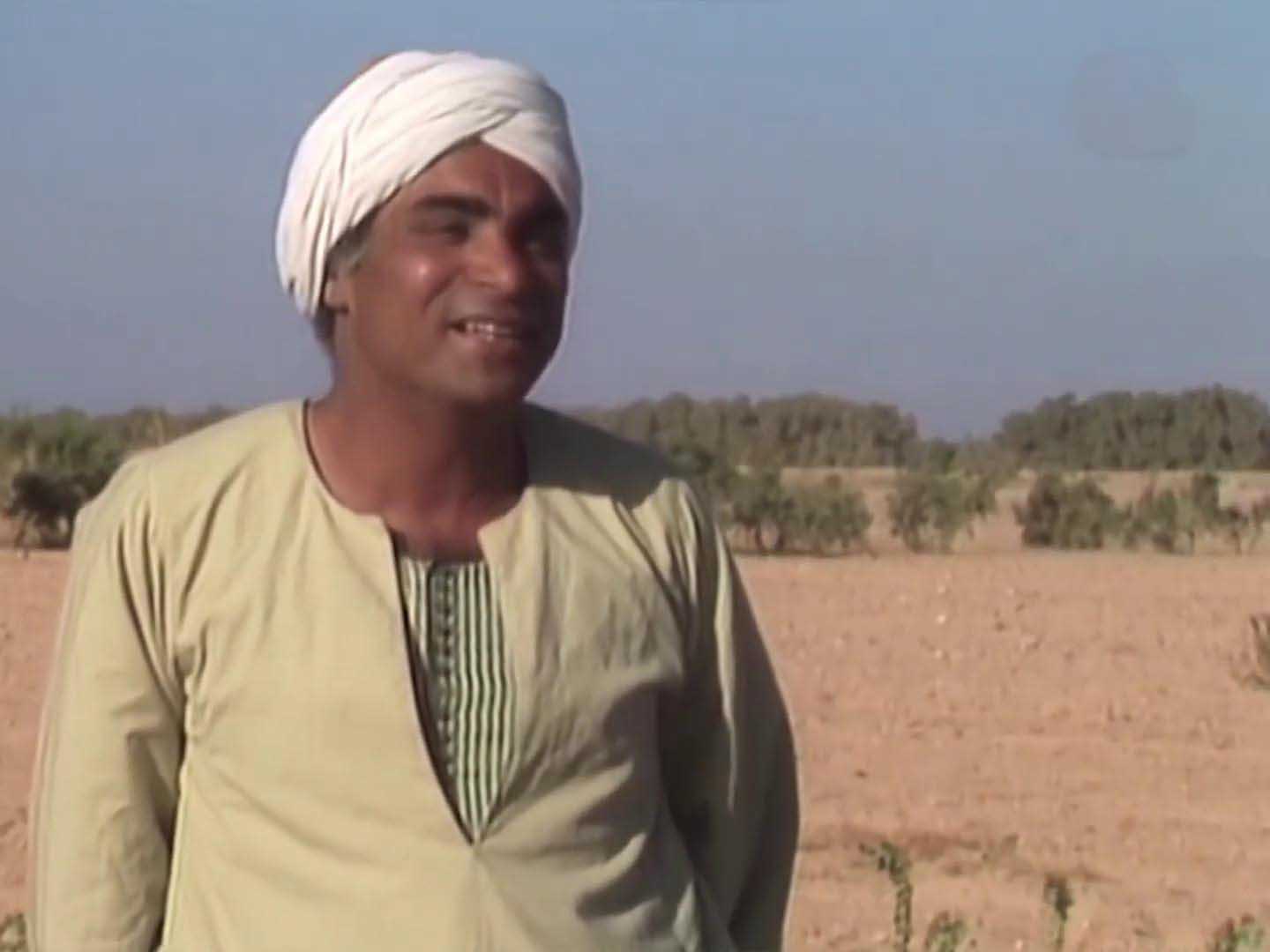 المرسي أبو العباس