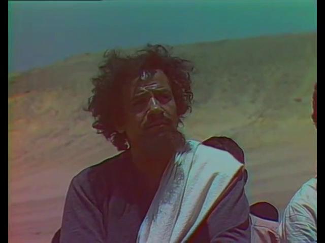 حمزة الشيمي