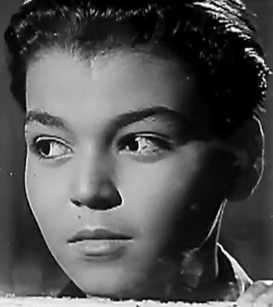 نبيل العشري