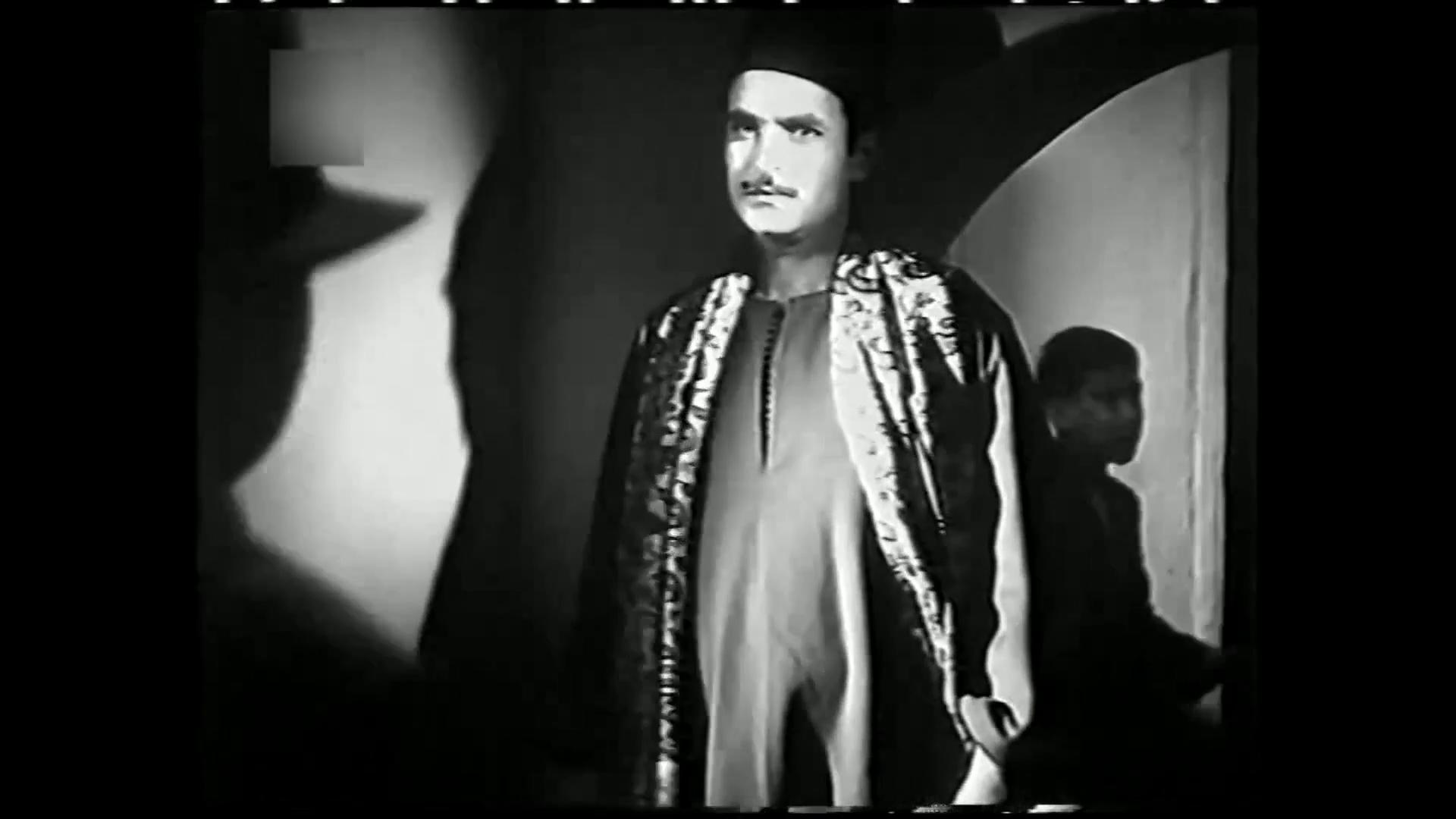 محمود ذو الفقار