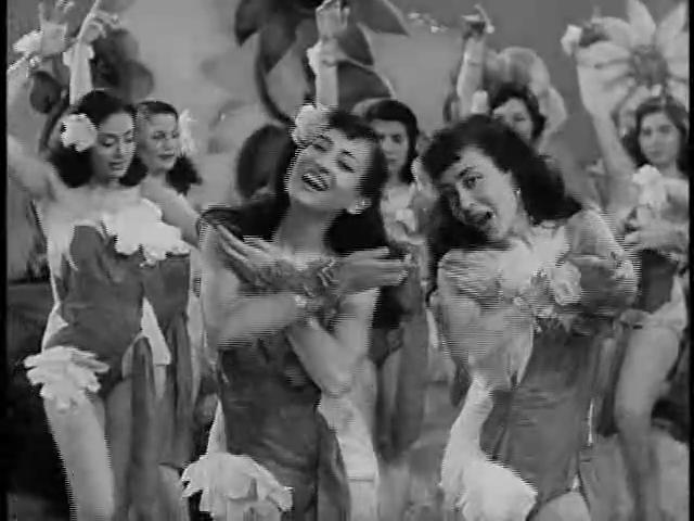 ليز - لين - أمينة السيد